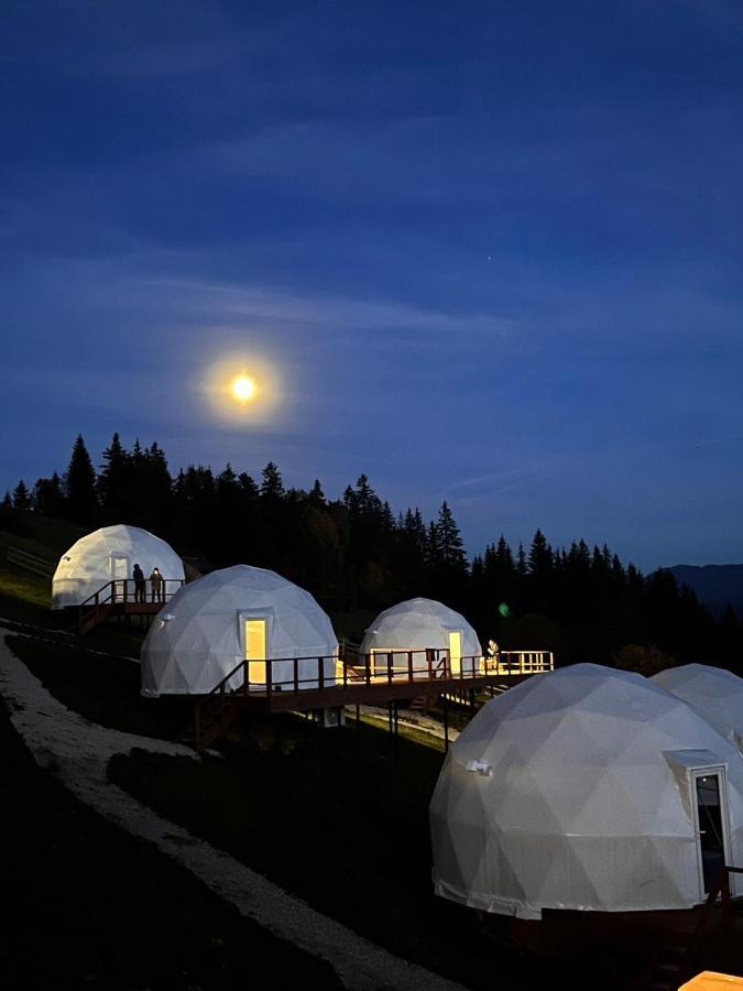 Глемпінг Де Вайб Hotel Vorokhta Eksteriør billede